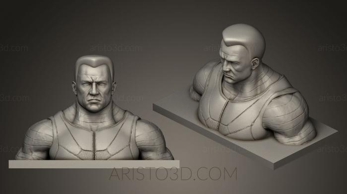 Busts and bas-reliefs of famous people (BUSTC_0111) 3D model for CNC machine